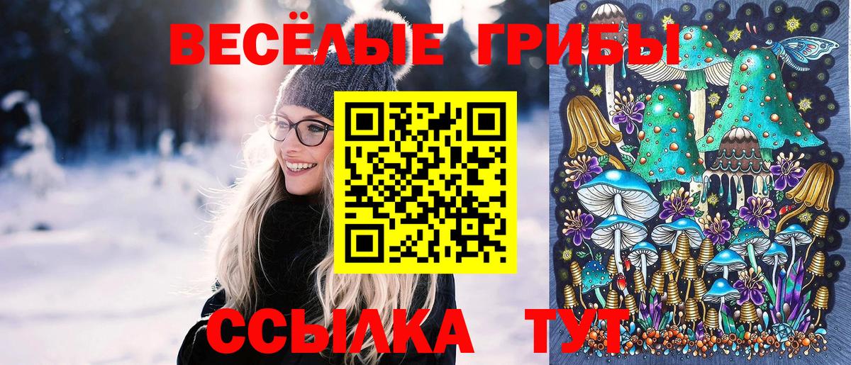 Кингисепп  Псилоцибиновые грибы Psilocybe  Вход с VPN 