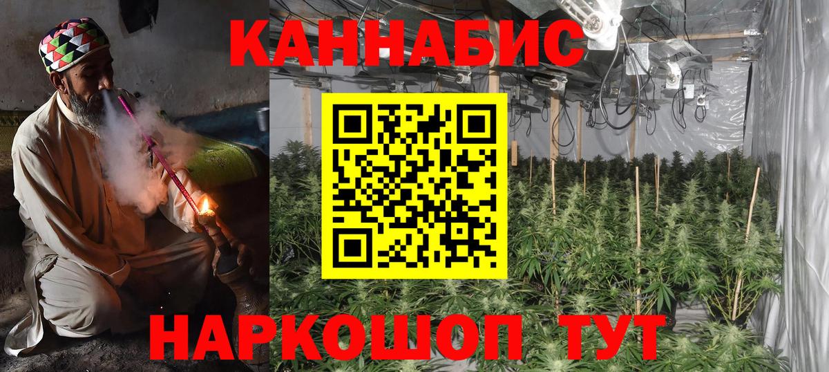 Канабис планчик Кингисепп